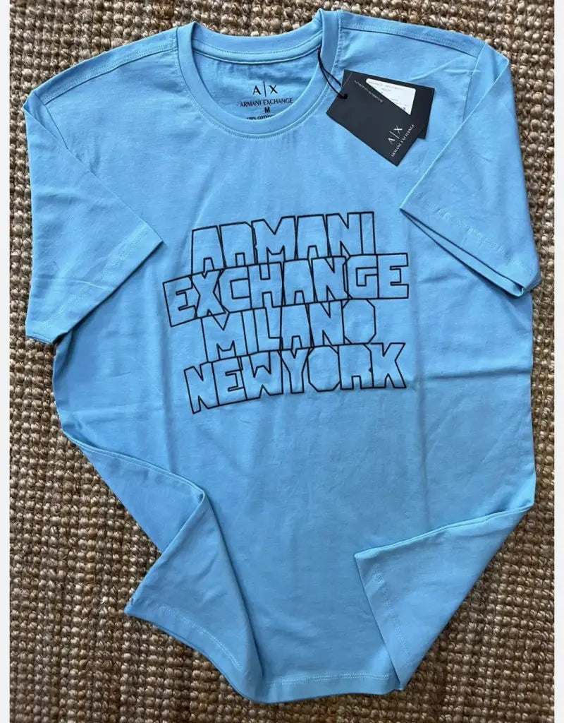 Emporio Armani Round Neck Premium Tshirt Blue - (121)