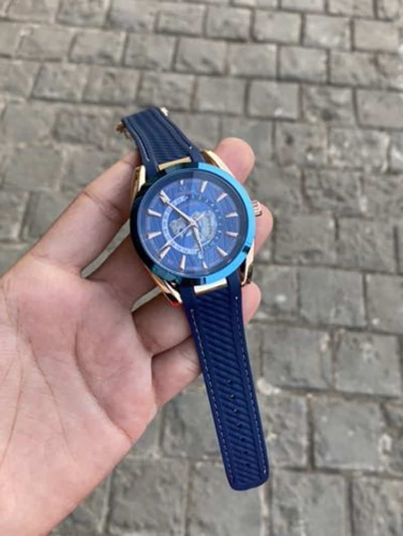 Omega Aqua Terra