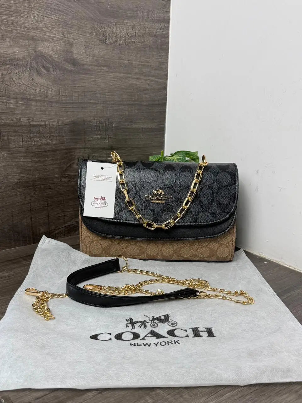 COACH_Sling_Shoulder_Bag_1074